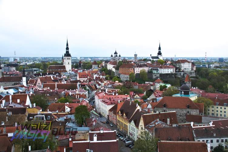 The view over the old town of Tallinn.